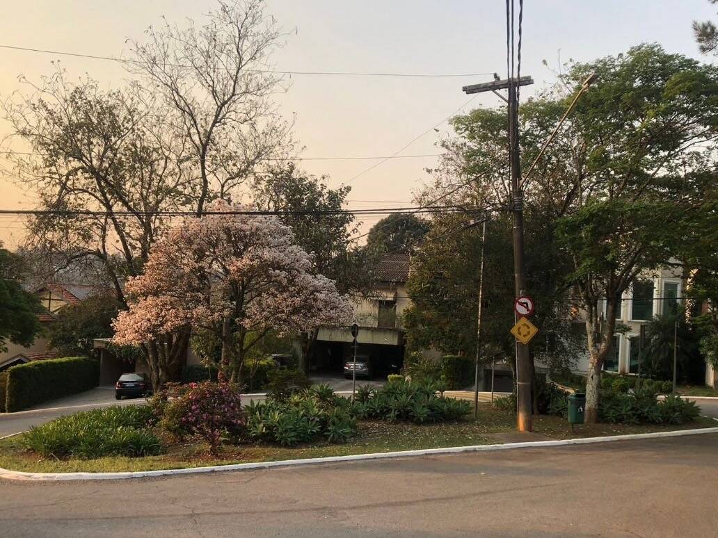Casa, 2 suítes, 300m², em Alphaville — foto 5