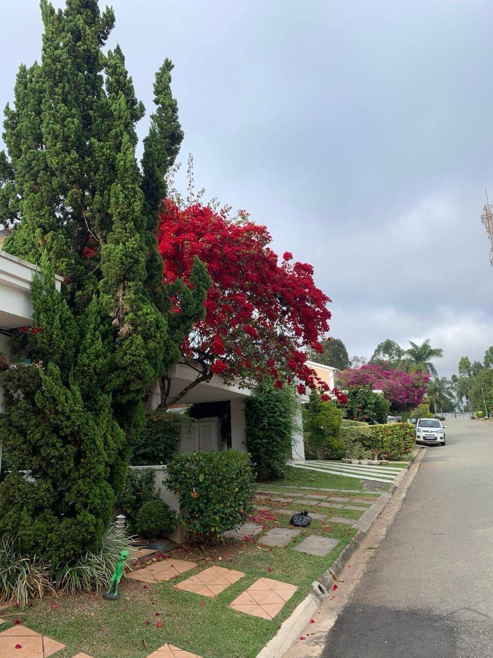 Casa, 1 suíte, 187m², em Tamboré — foto 3