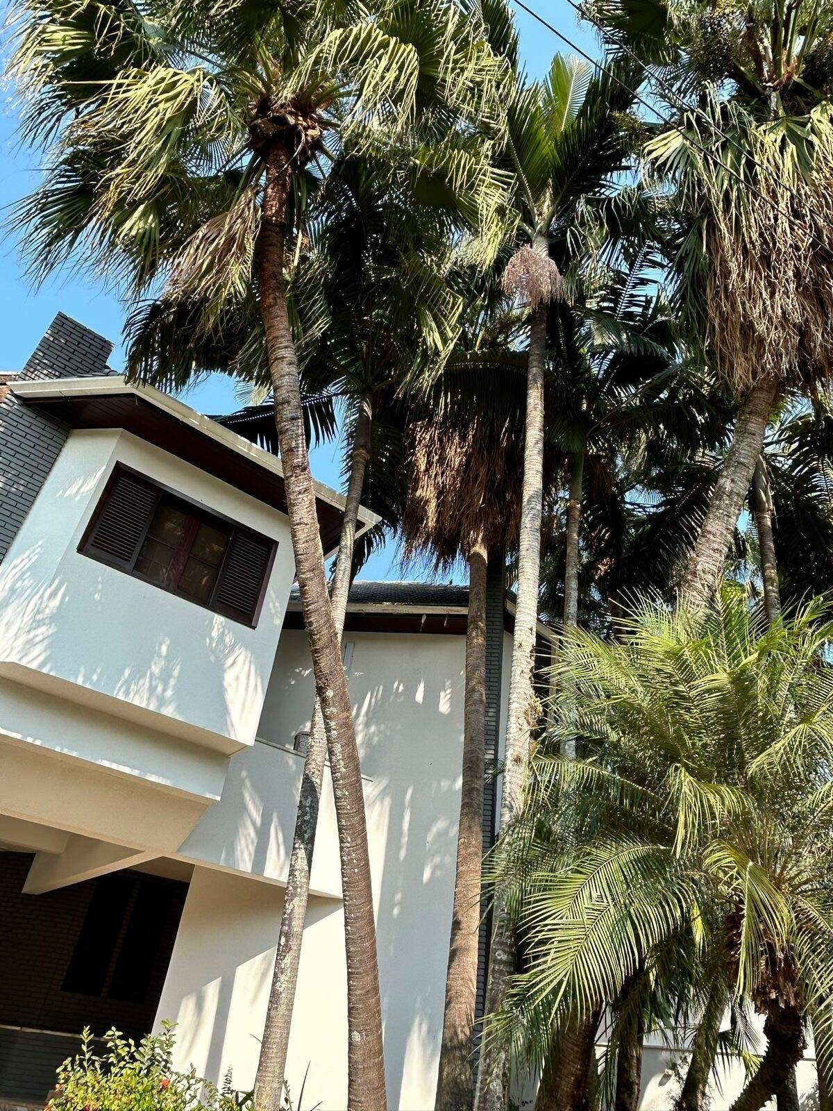 Casa, 2 suítes, 448m², em Alphaville Residencial Dois — foto 15